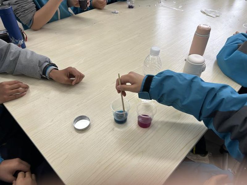 《自制酸堿指示劑》——新鄉(xiāng)市第十中學(xué)化學(xué)組科學(xué)教育優(yōu)秀課例展評(píng)（二）